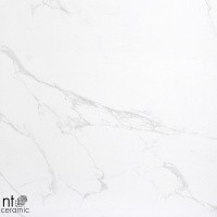 Керамогранит NTT9402 цвет керамогранитной плитки Белый