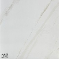 Керамогранит NTT9401 цвет керамогранитной плитки Бежевый