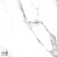 Керамогранит NTT9100 цвет керамогранитной плитки Белый