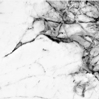 Керамогранит NTT9111P Marble Grey цвет керамогранитной плитки Серый