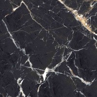 Керамогранит Black Lamos High Gloss цвет керамогранитной плитки Черный