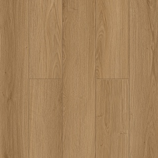 LT12704N