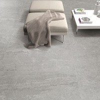 Керамогранит NTT9024 цвет керамогранитной плитки Серый