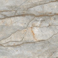 Керамогранит Forest Carving цвет керамогранитной плитки Серый