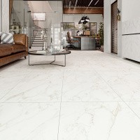 Керамогранит Marble Extra Endless цвет керамогранитной плитки 