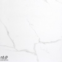 Керамогранит NTT9402 цвет керамогранитной плитки Белый
