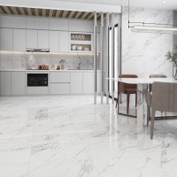 Керамогранит Artic statuario  Glossy цвет керамогранитной плитки Серый