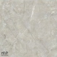 Керамогранит NTT9022 цвет керамогранитной плитки Серый