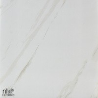 Керамогранит NTT9401 цвет керамогранитной плитки Бежевый