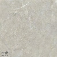 Керамогранит NTT9022 цвет керамогранитной плитки Серый
