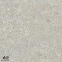 Керамогранит NTT9022 цвет керамогранитной плитки Серый