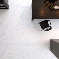 Керамогранит Statuario Endless цвет керамогранитной плитки Серый