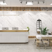 Керамогранит Carrara Elite цвет керамогранитной плитки Белый