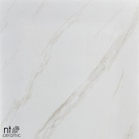 Керамогранит NTT9401 цвет керамогранитной плитки Бежевый