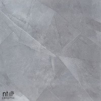 Керамогранит NTT9405 цвет керамогранитной плитки Серый