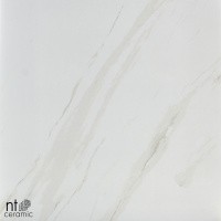 Керамогранит NTT9401 цвет керамогранитной плитки Бежевый
