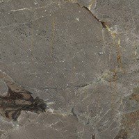 Керамогранит Stone Alpino цвет керамогранитной плитки Коричневый