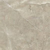 Керамогранит NTT9021 цвет керамогранитной плитки Коричневый