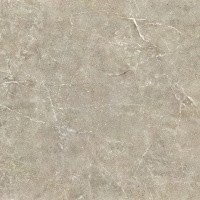 Керамогранит NTT9021 цвет керамогранитной плитки Коричневый