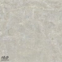 Керамогранит NTT9022 цвет керамогранитной плитки Серый